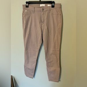 Curve Appeal Minimalist Jegging